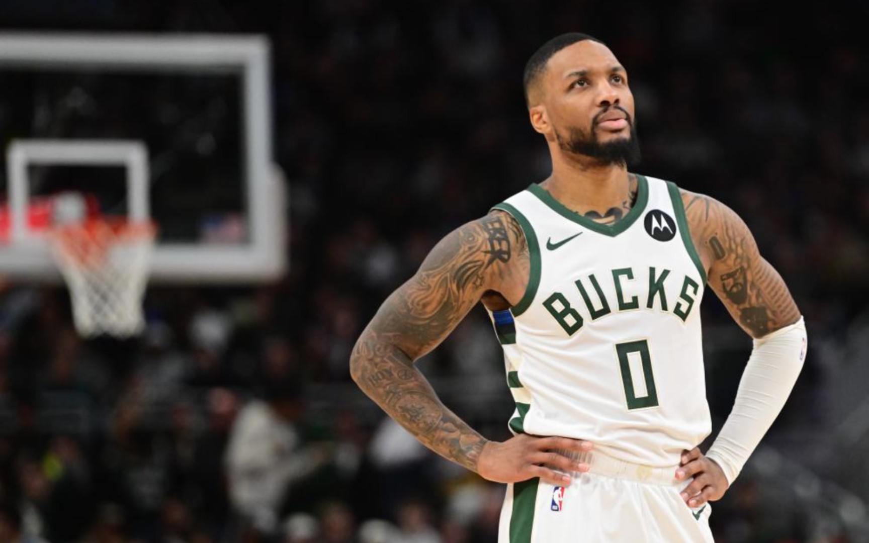 炼和发展的 炼和发展的