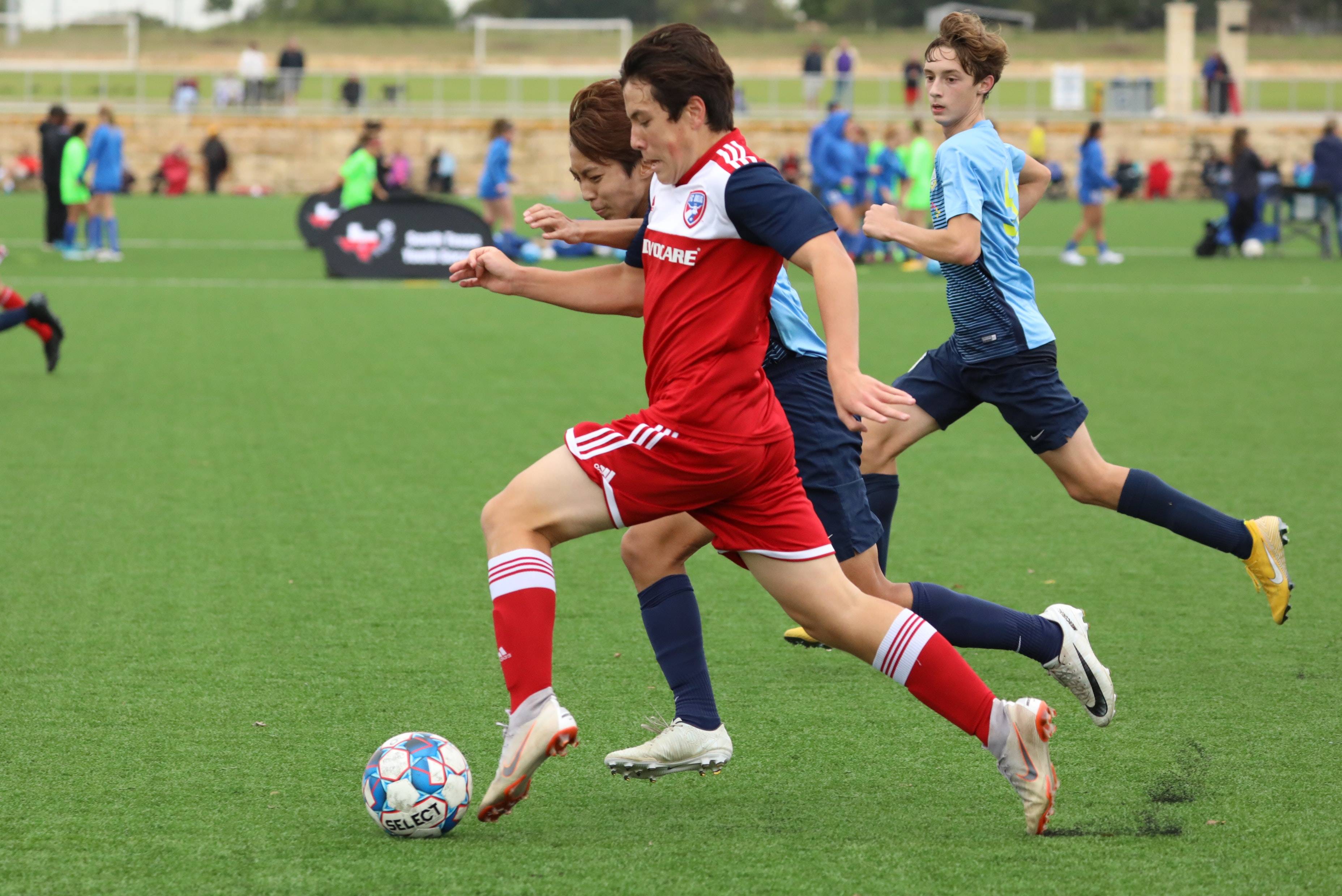 将成为泰山 将成为泰山